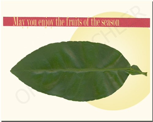 seasons greetings card