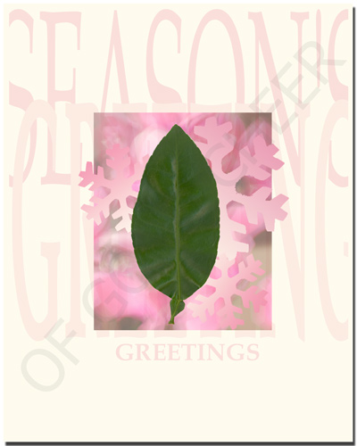 seasons greetings card